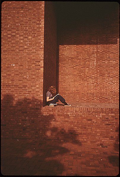 Haun, D. (1973 May). Cleo Rogers Memorial Library. The Environmental Protection Agency's Program to Photographically Document Subjects of Environmental Concern, 1972 - 1977. National Archives and Records Administration, 546478.